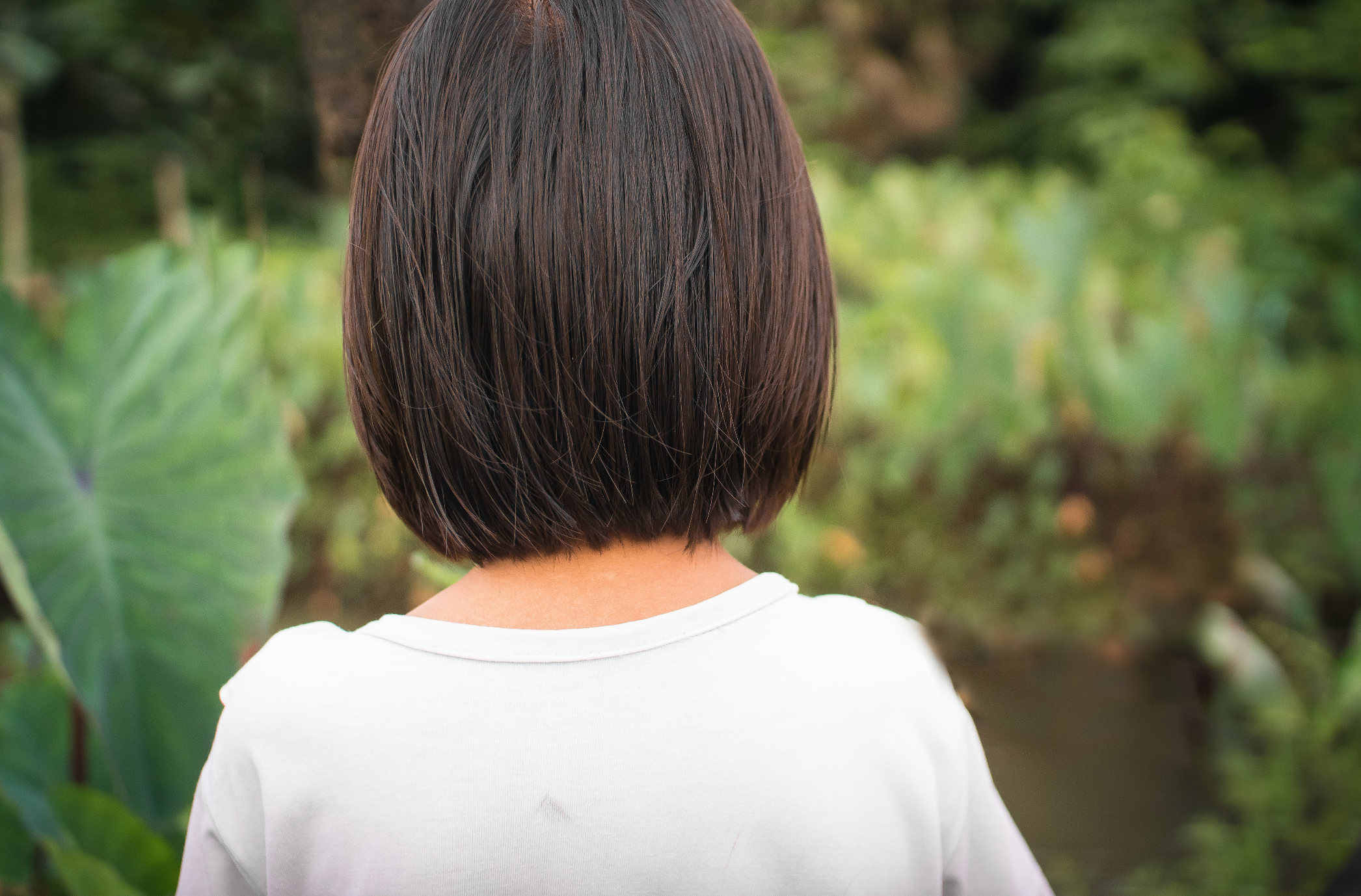 screen-shot-2016-12-13-at-7-16-50-pm