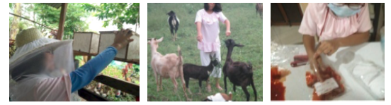 Screen Shot 2017-03-03 at 3.35.18 PM