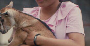 A teen girl in a pink shirt holding a baby goat, cropped to conceal identity