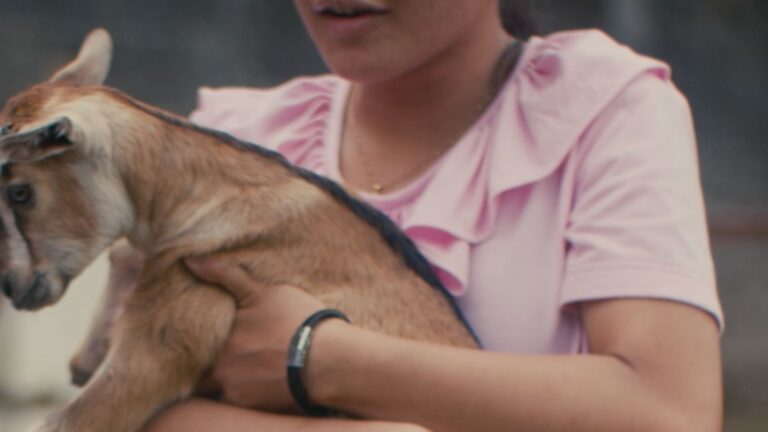 A teen girl in a pink shirt holding a baby goat, cropped to conceal identity
